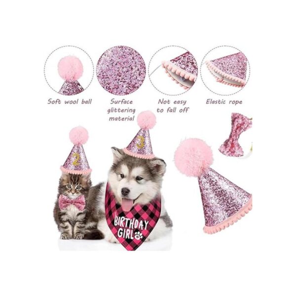 Suministros de fiesta de cumpleaños para perros niño y