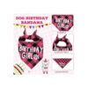 Suministros de fiesta de cumpleaños para perros niño y