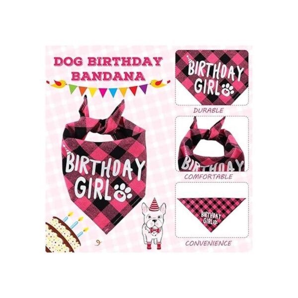 Suministros de fiesta de cumpleaños para perros niño y