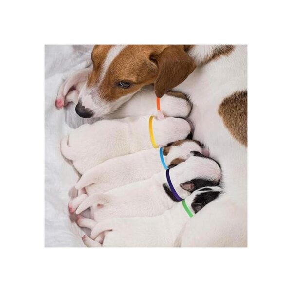 Weewooday 45 collares para cachorros de doble cara para