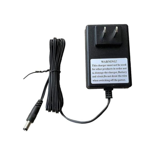 weelye 6V1.0A Kids Powered Ride On Car Universal Charger_4