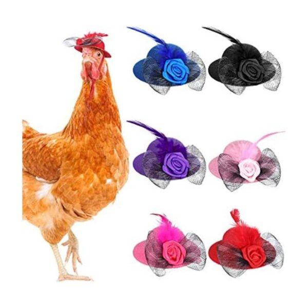 6 sombreros de pollo para gallinas mascotas pequeñas