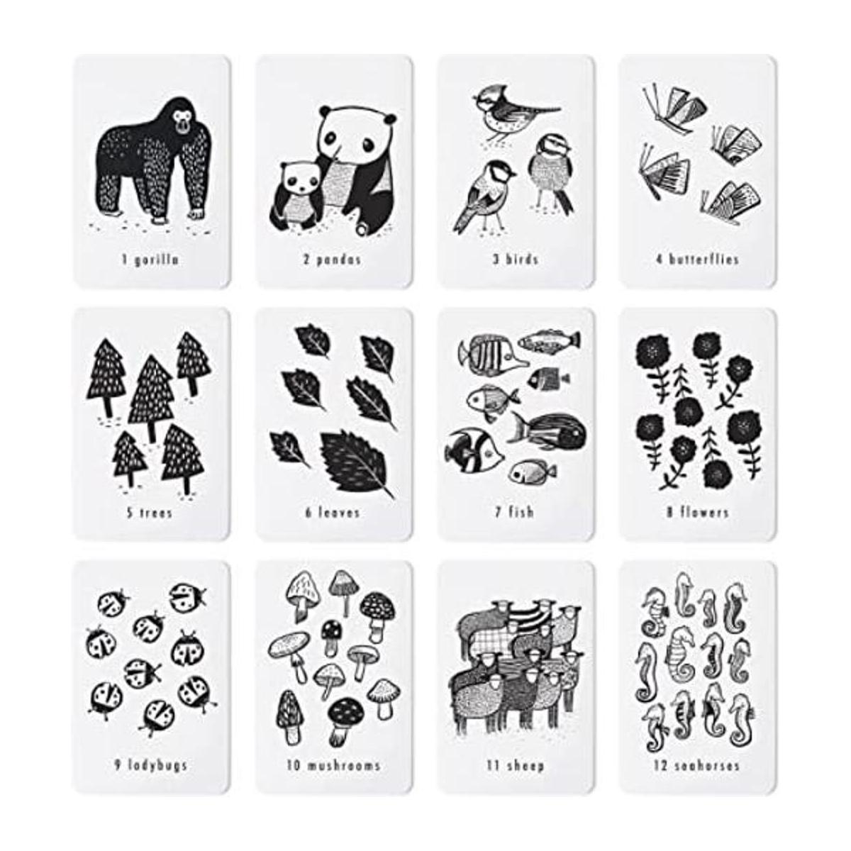 Wee Gallery Tarjetas de números naturales tarjetas