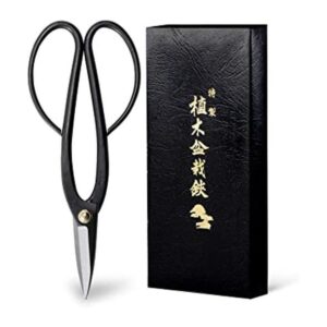 Wazakura Ashinaga Tijeras de bonsái fabricadas en Japón_1