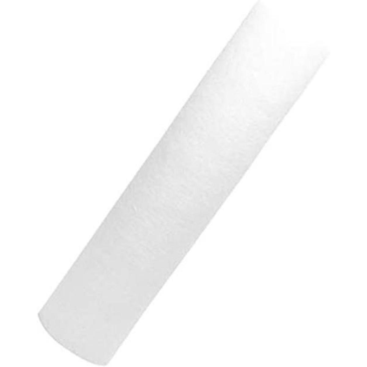 Watts Premier 560035 5micron sedimentos Repuesto 2pack