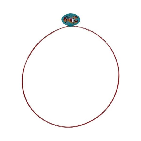 Water Sports Swim Thru Rings Assorted Pack Adjustable_4