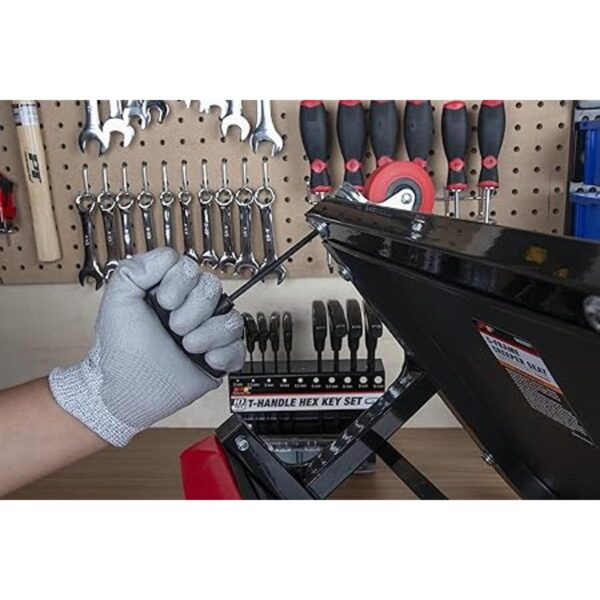 Set Wilmar Performance Tool W80276 de 10 piezas con