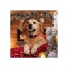 WHIPPY Collar de perro de Navidad suave cómodo con