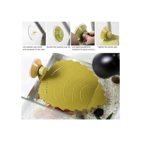 WEAVERBIRD Plataforma para cangrejo y tanque de tortuga_5