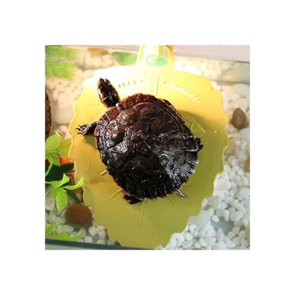 WEAVERBIRD Plataforma para cangrejo y tanque de tortuga_6