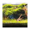 WDEFUN Madera flotante para decoración de acuario adorno