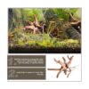 WDEFUN Madera flotante para decoración de acuario adorno
