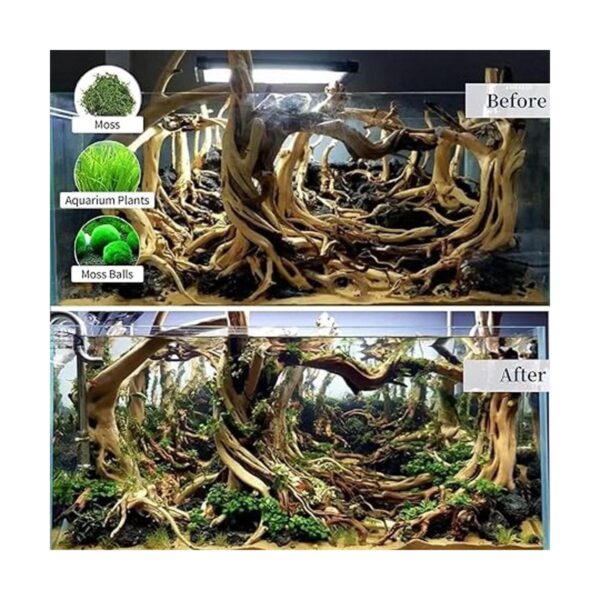 WDEFUN Madera flotante para decoración de acuario adorno