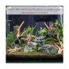 WDEFUN Madera flotante para decoración de acuario adorno
