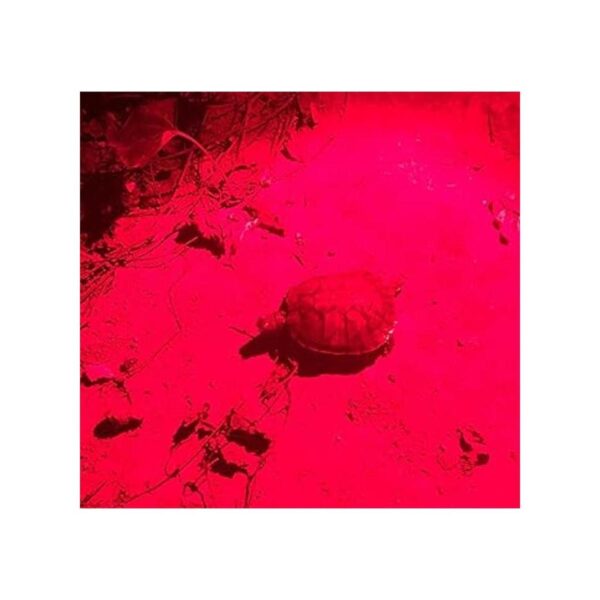 WAYLLSHINE Linterna LED roja 2 unidades 3 modos luz