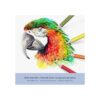 Lápices para colorear para adultos 50 lápices de colores_4
