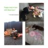 Volacopets Juguetes para cachorros para la dentición