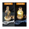 Voaesdk Molde de resina para botella de luz lámpara de_2