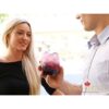 Copas irrompibles sin pie de Vivocci base 100 de