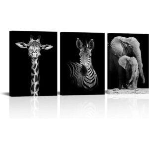 Visual Art Decor Lienzo moderno en blanco y negro con_1