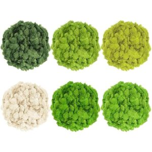 Tmovjxv Musgo preservado de 6 colores 16.9 onzas de musgo