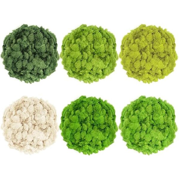 Tmovjxv Musgo preservado de 6 colores 16.9 onzas de musgo