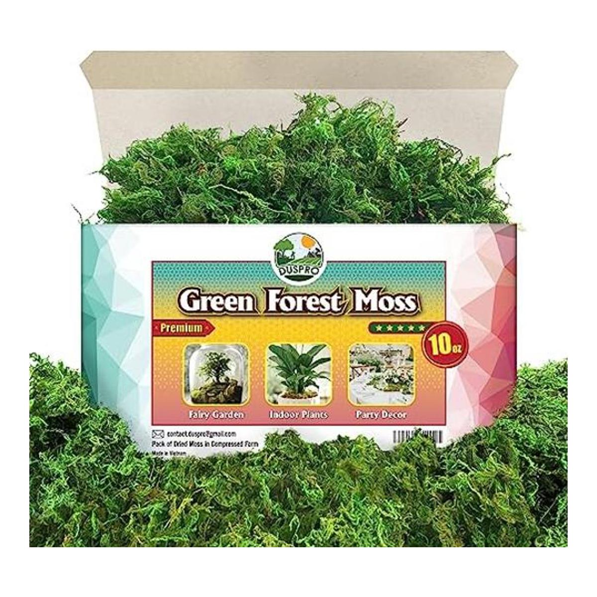 DUSPRO Musgo verde para manualidades relleno de musgo