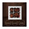 RomanticBaking 3 14 x 3 14 x 1 12 pulgadas 50 cajas de