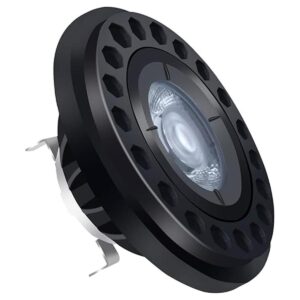 Noobibaba PAR36 Bombilla LED de paisaje bajo voltaje de_1