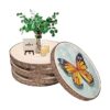 Paquete de 6 rebanadas de madera de 9 a 10.5 pulgadas_1