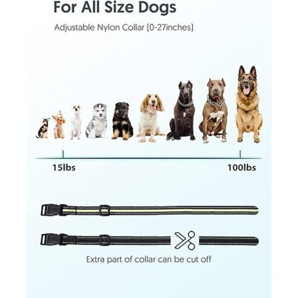 PATPET Collar de entrenamiento para perros con control_6