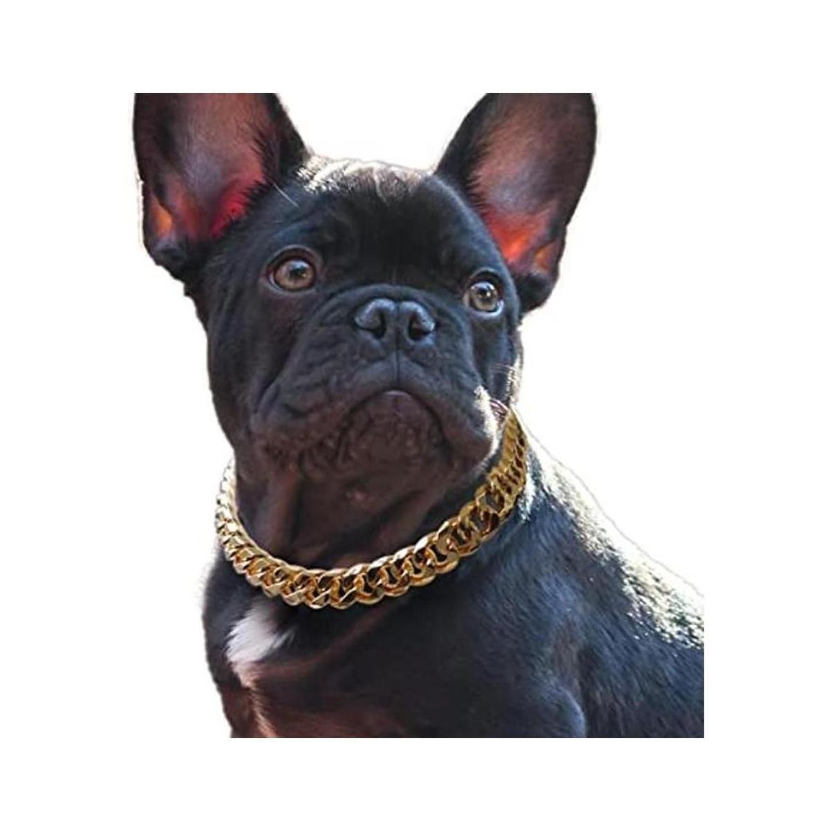 Collar de perro con eslabones cubanos collar de cadena