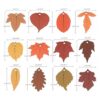 120 etiquetas de regalo de arce de hojas de otoño con_2