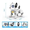 Robot de control remoto para perros mascotas robóticas_6