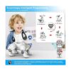 Robot de control remoto para perros mascotas robóticas_3