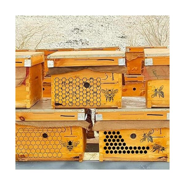8 plantillas de abeja para pintar sobre madera plantilla