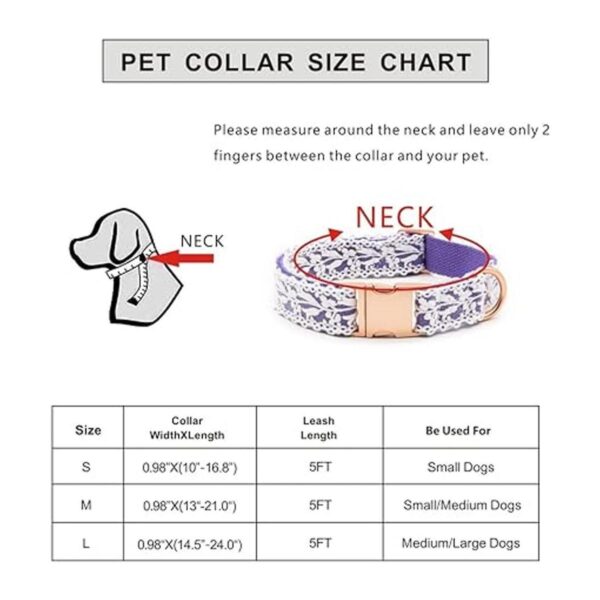 LEKAIGO Juego de collar y correa para perro encaje de_2
