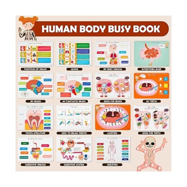 Freebear Montessori Libro educativo para niños anatomía_2