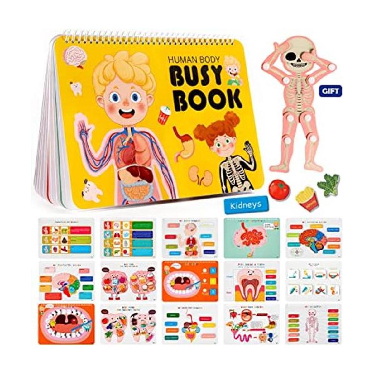 Freebear Montessori Libro educativo para niños anatomía