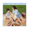 Fabenix Fruit and Vegetable Cleaning Machine Aquapur