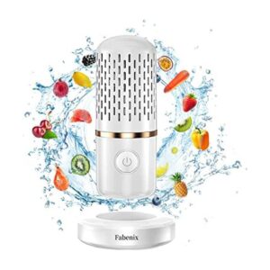 Fabenix Fruit and Vegetable Cleaning Machine Aquapur