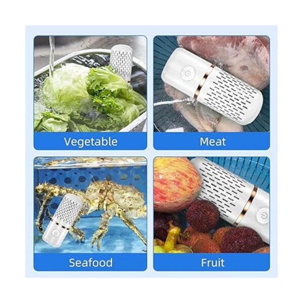 Fabenix Fruit and Vegetable Cleaning Machine Aquapur