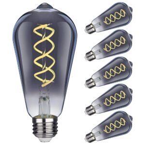 Bombilla LED Edison ST19 ST58 vintage paquete de 6_1