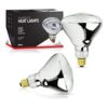Bulbmaster 250 vatios de luz de calor transparente R40_1