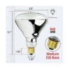 Bulbmaster 250 vatios de luz de calor transparente R40_2