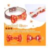 16 piezas de accesorios para el collar de corbatín para