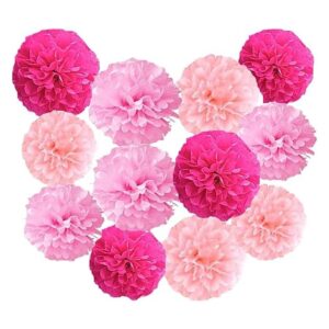 12 piezas de 8 pulgadas y 10 pulgadas kit de pompones de_1