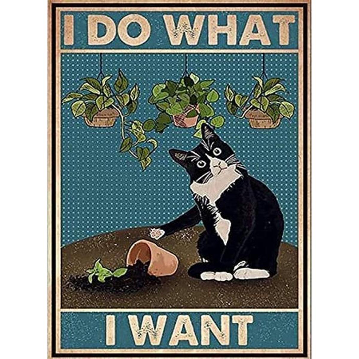 Kits de pintura de diamantes de gato para adultos