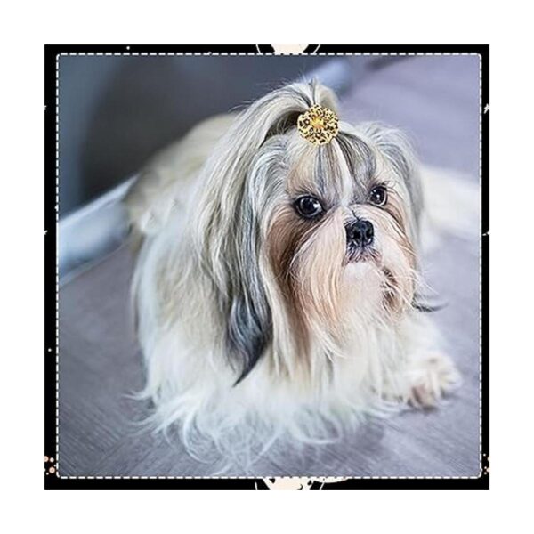 JpGdn 30 unidades15 pares de lazos para el pelo de perro