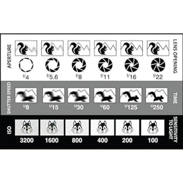 Tarjeta de referencia para fotografía DSLRsin espejo_2